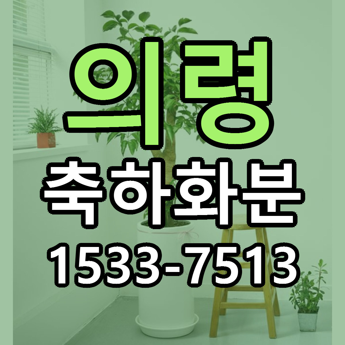 의령 축하화분 싼곳 당일배송 리본문구 작성