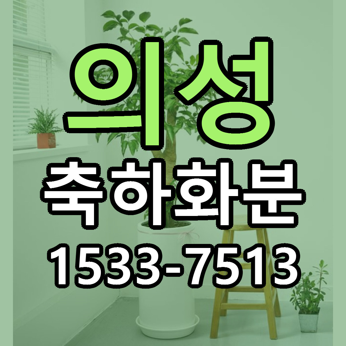 의성 축하화분 싼곳 당일배송 리본문구 작성
