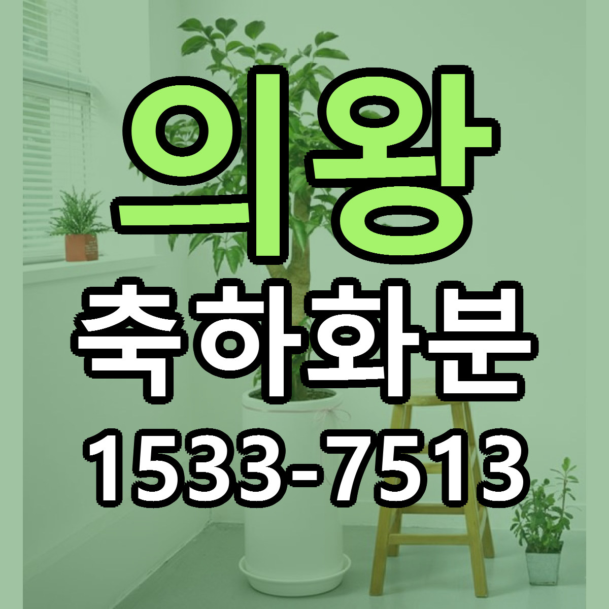 의왕 축하화분 저렴한곳 당일배송 가격 만족