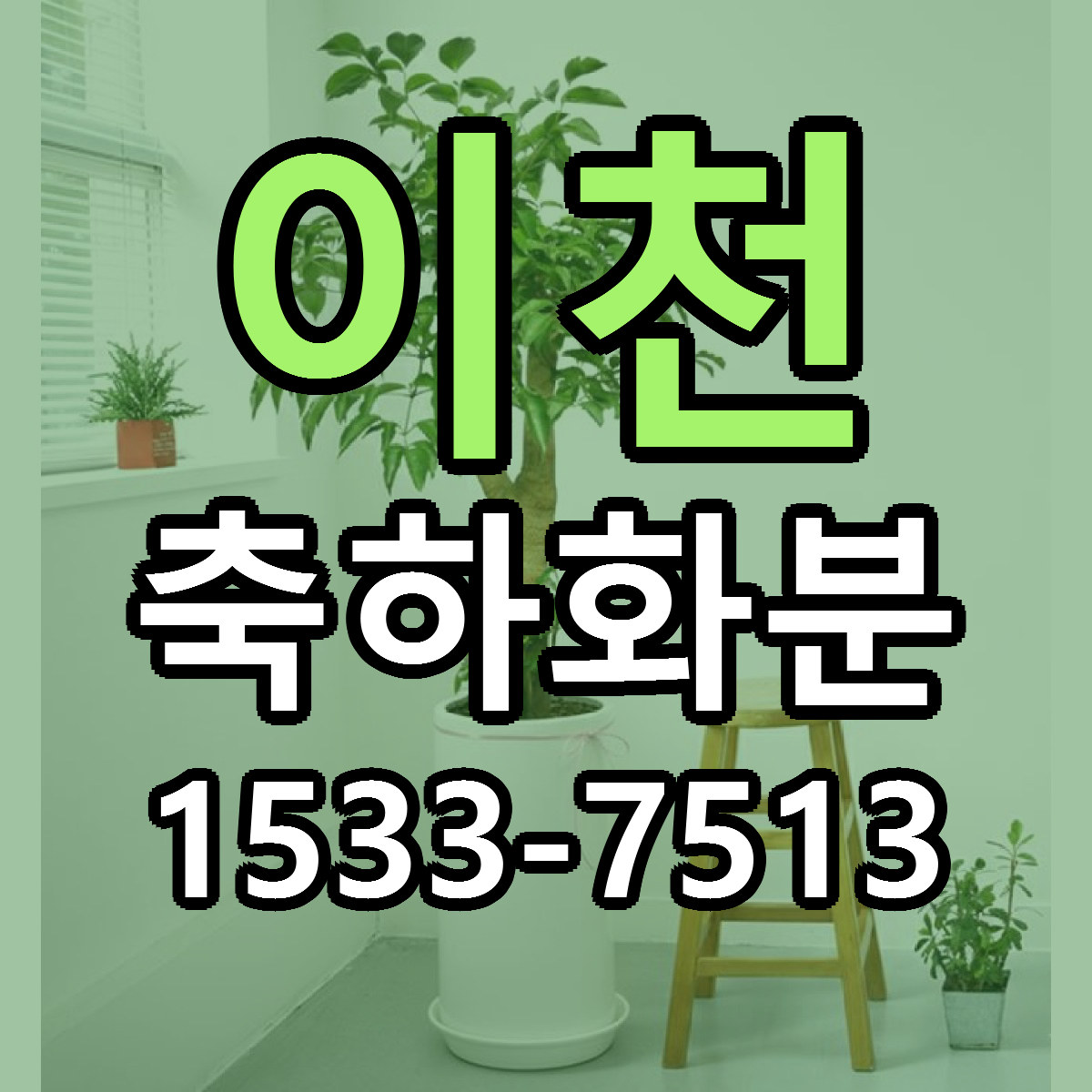 이천 축하화분 근처꽃집 가격 저렴한곳 안내
