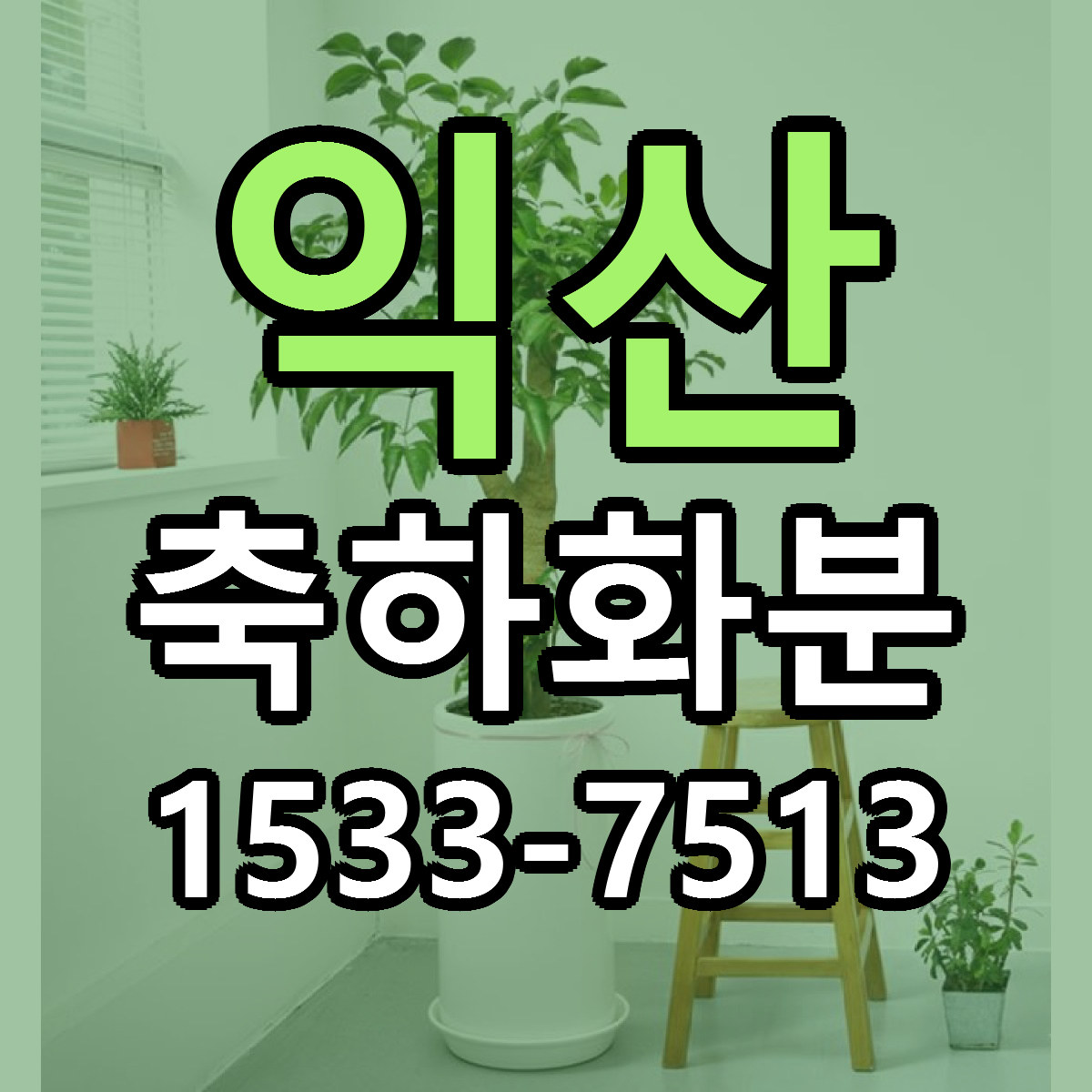 익산 축하화분 당일배송 싼곳 리본문구 안내