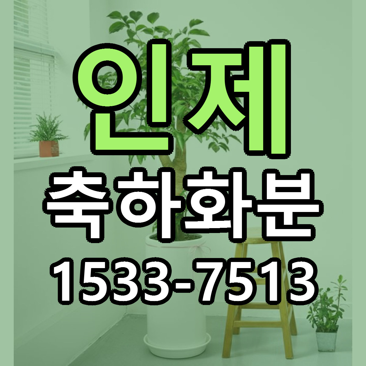 인제 축하화분 리본문구 서비스 저렴한곳 빠른배송