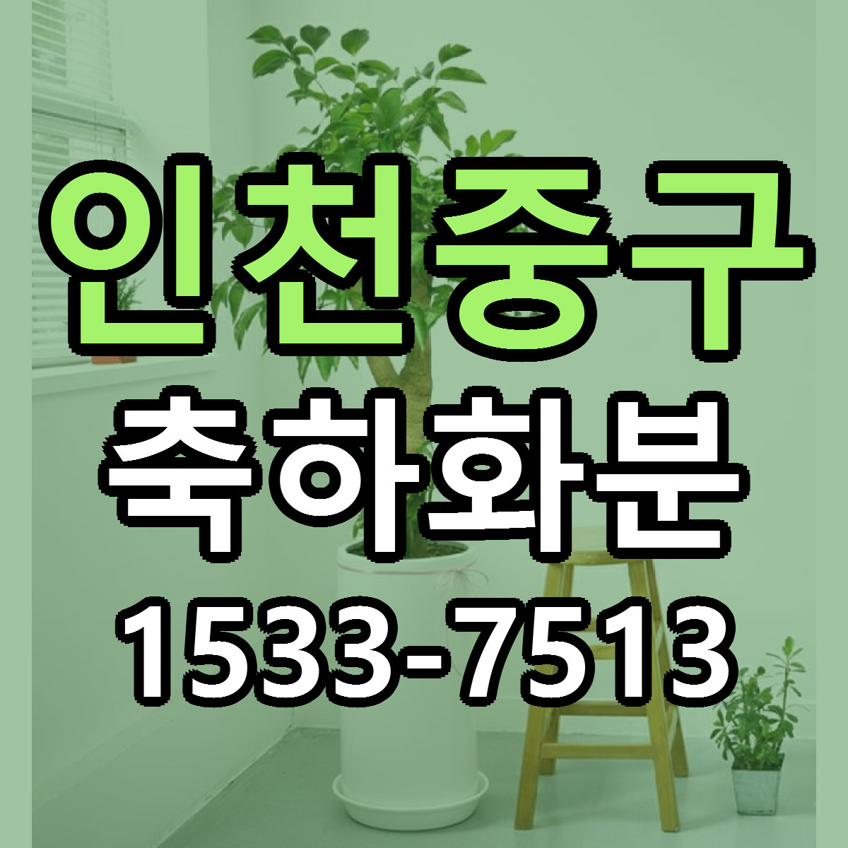 인천중구 축하화분 근처꽃집 당일배송 리본문구 서비스