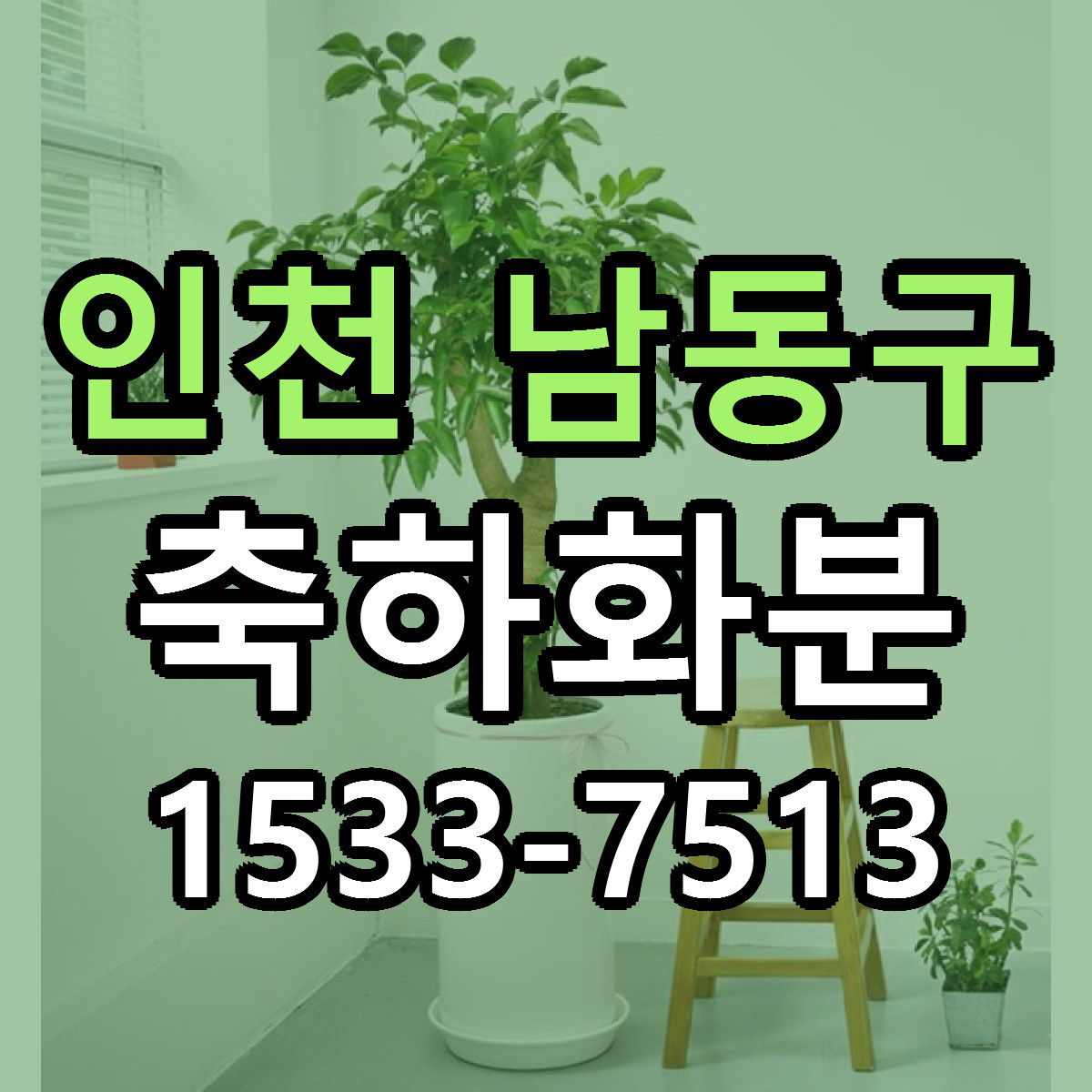 인천 남동구 축하화분 저렴한곳 당일배송 근처꽃집 추천