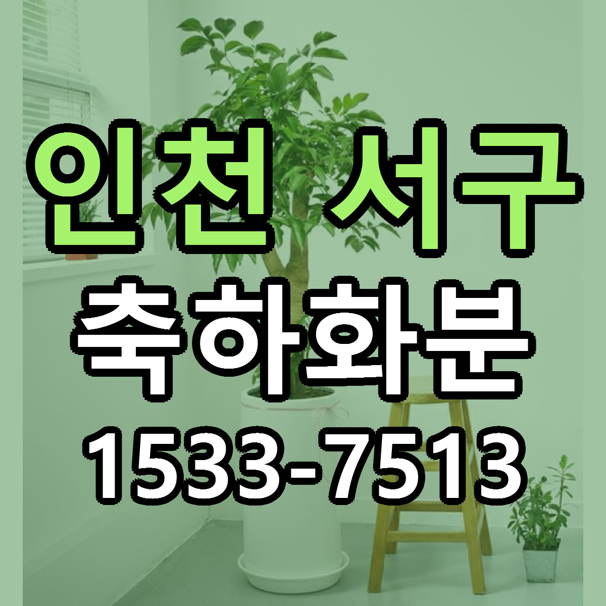 인천 서구 축하화분 빠른배송 저렴한곳 가격 정리