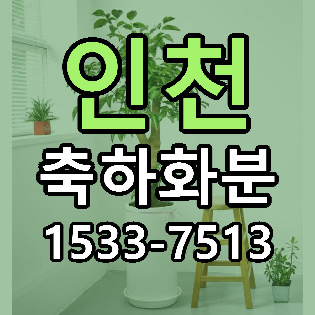 인천 축하화분 빠른배송 리본문구 근처꽃집 예약