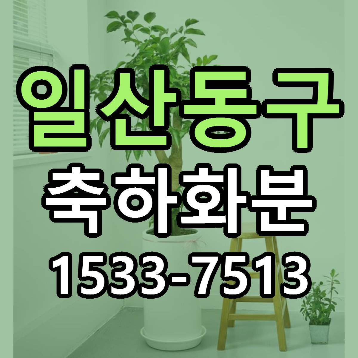 일산동구 축하화분 싼곳 당일배송 리본문구 작성