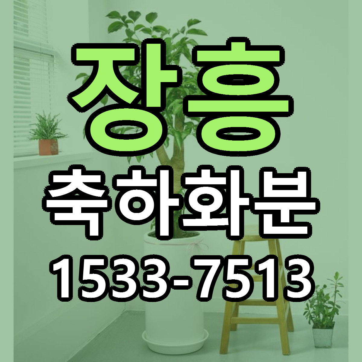 장흥 축하화분 가격 만족 저렴한곳 리본문구 작성