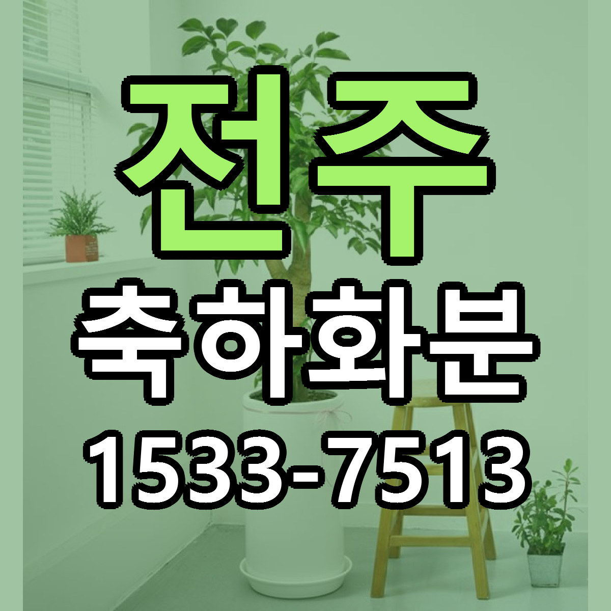 전주 축하화분 근처꽃집 빠른배송 가격 문의