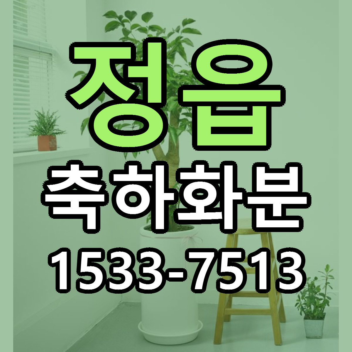 정읍 축하화분 근처꽃집 싼곳 빠른배송 안내