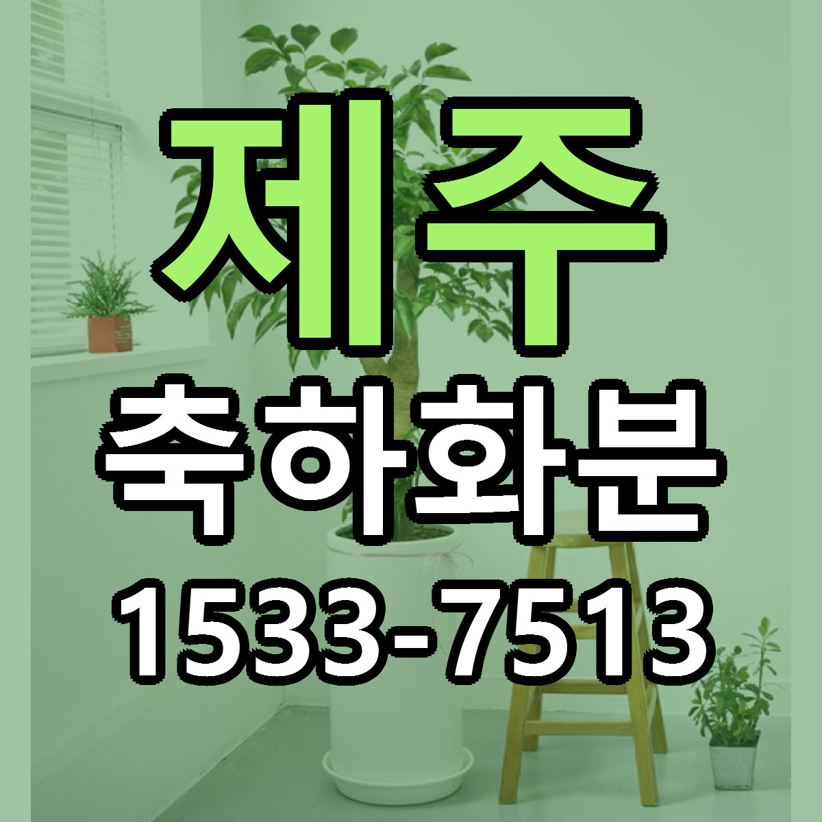 제주 축하화분 가격 만족 저렴한곳 리본문구 작성