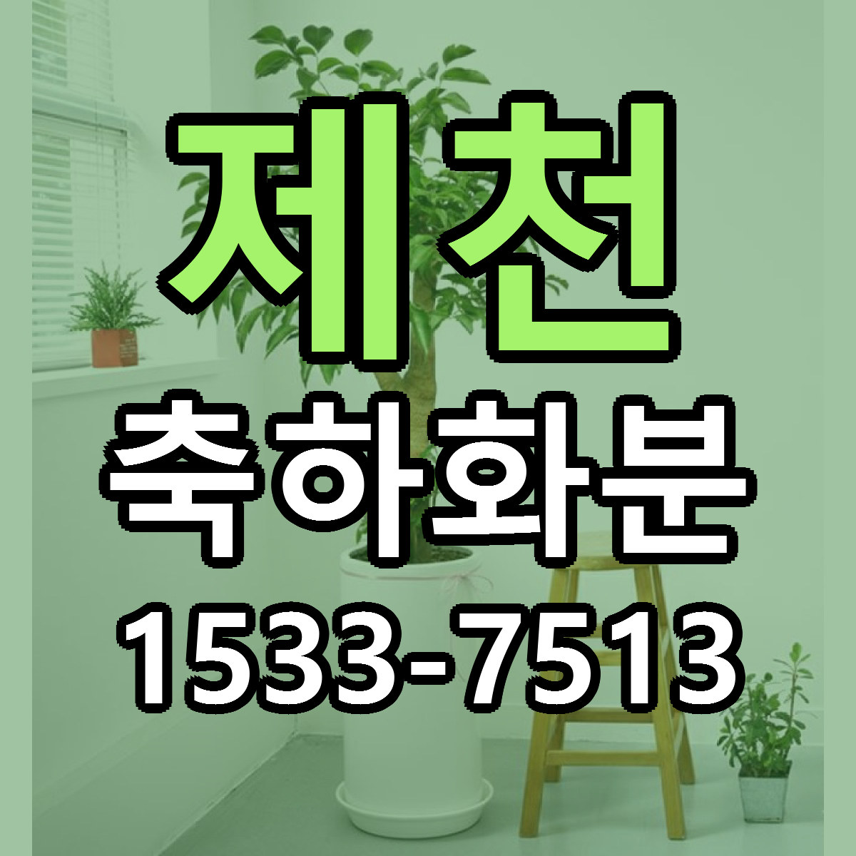 제천 축하화분 근처꽃집 싼곳 빠른배송 안내