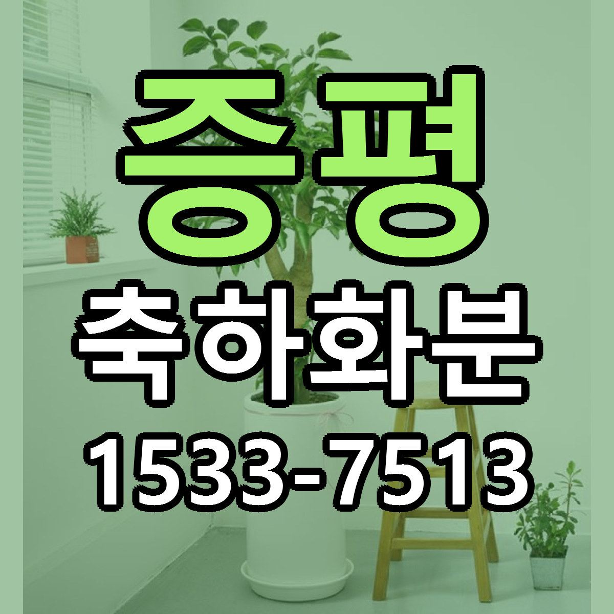 증평 축하화분 근처꽃집 가격 저렴한곳 안내