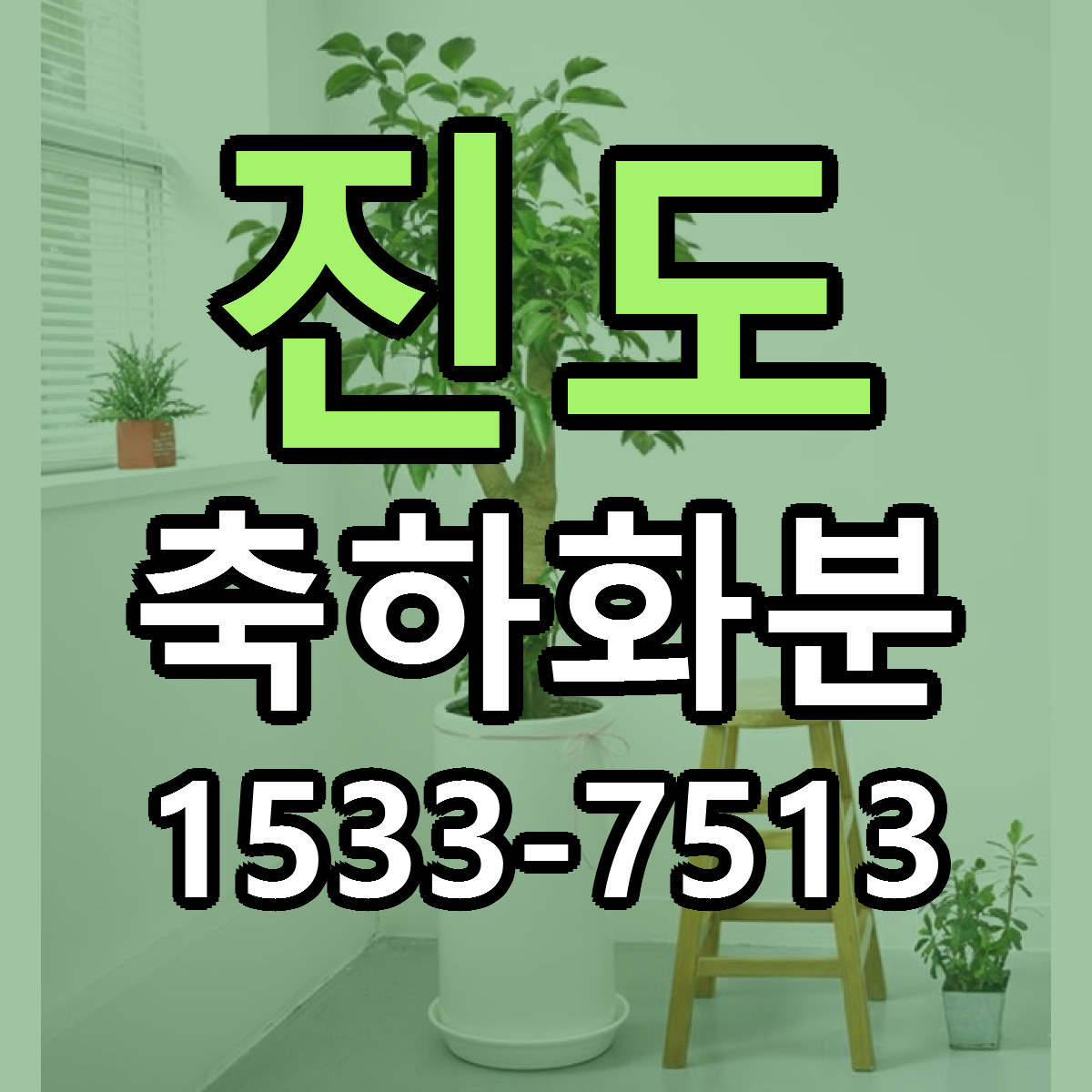 진도 축하화분 가격 만족 저렴한곳 리본문구 작성