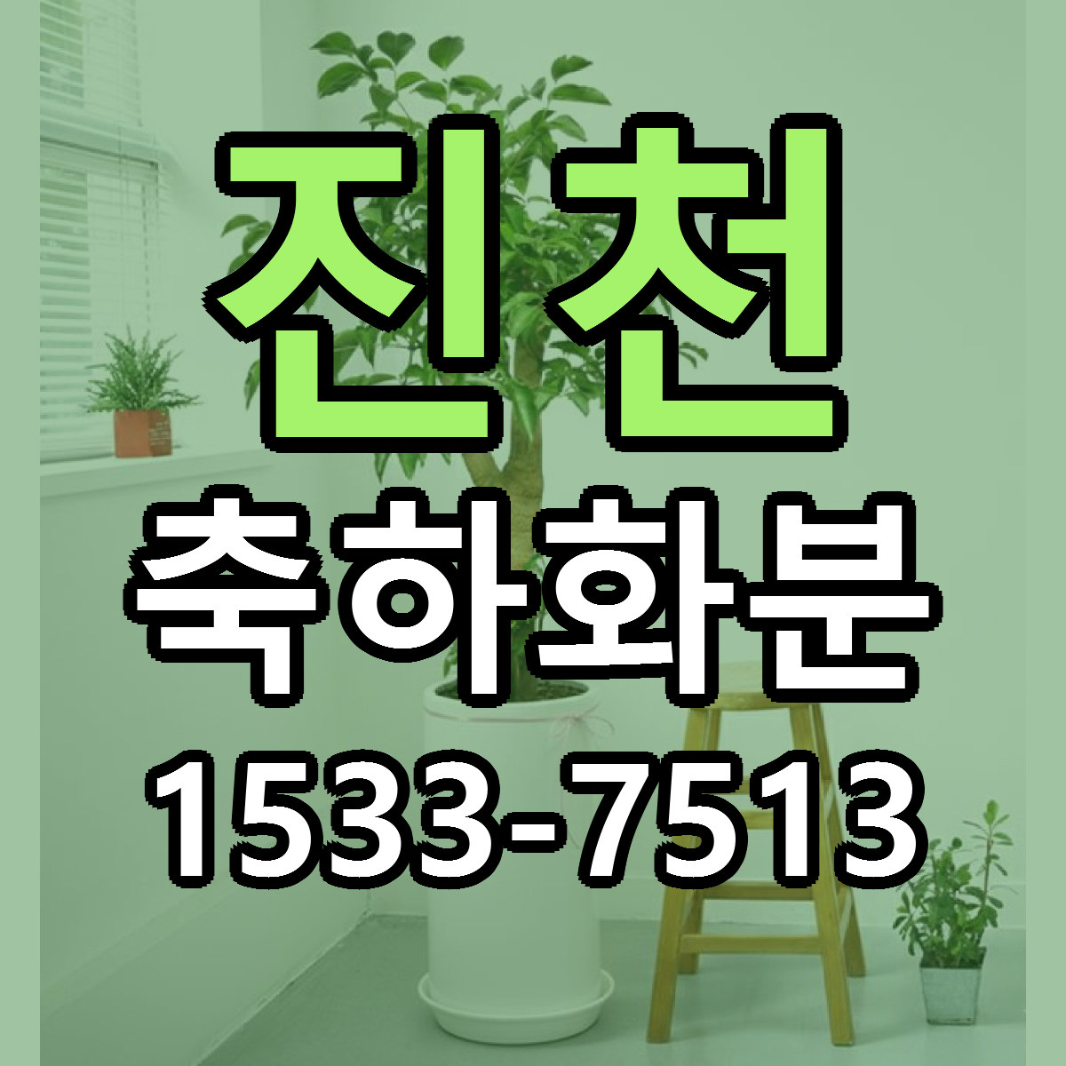 진천 축하화분 빠른배송 리본문구 근처꽃집 예약