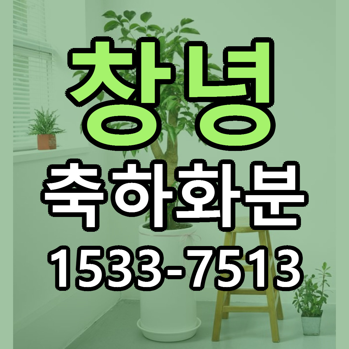 창녕 축하화분 근처꽃집 빠른배송 가격 문의