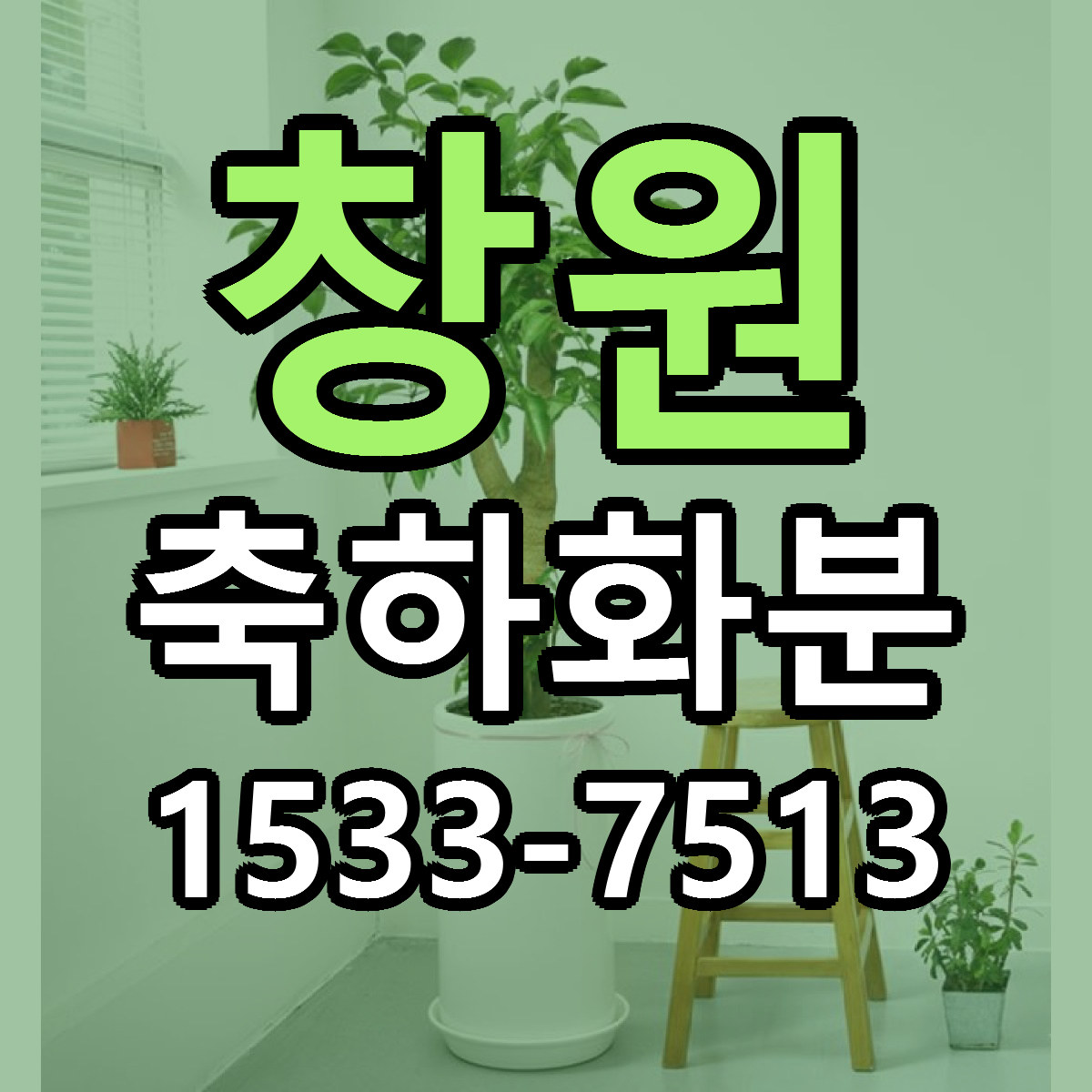 창원 축하화분 당일배송 빠른배송 싼곳 찾기