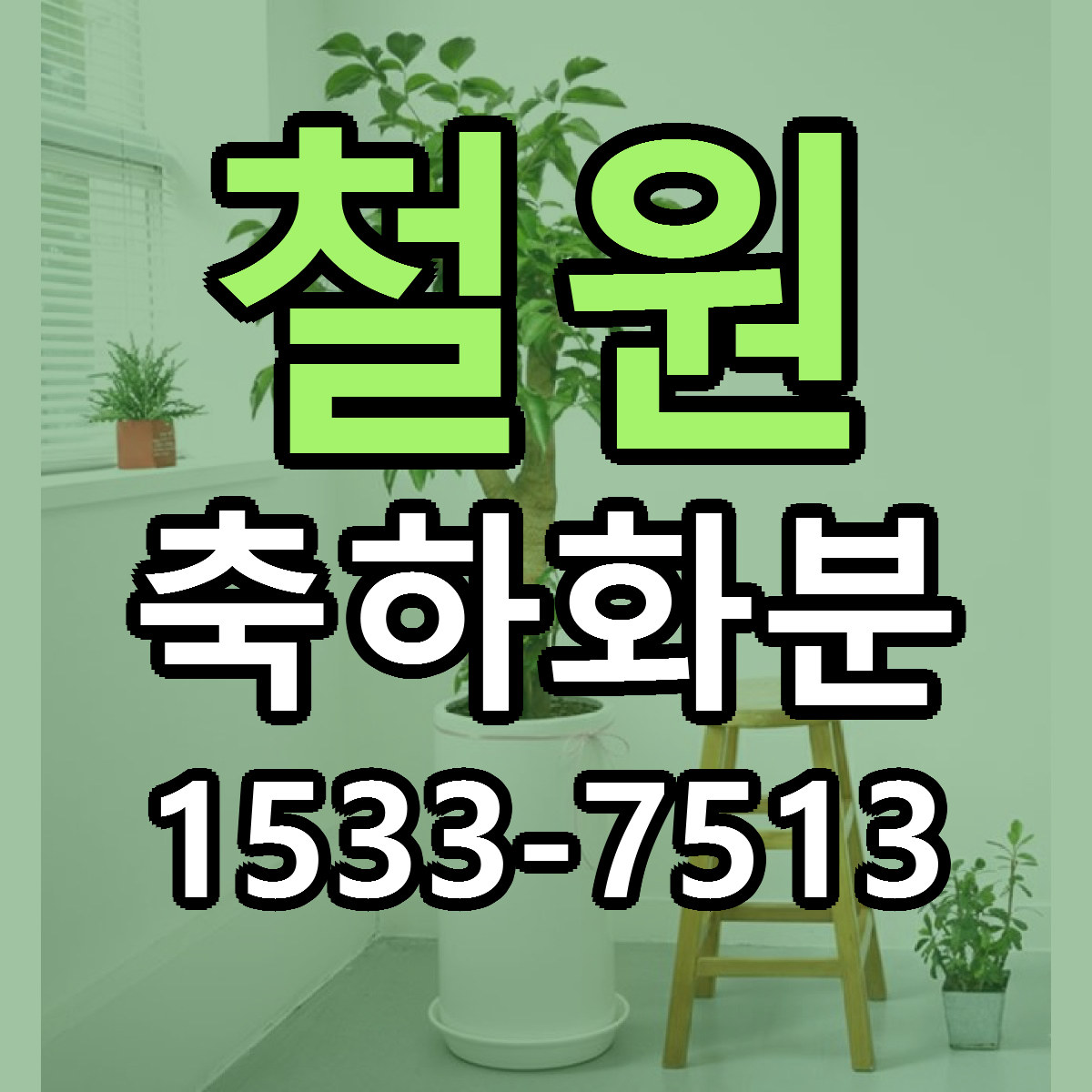 철원 축하화분 리본문구 싼곳 빠른배송 예약