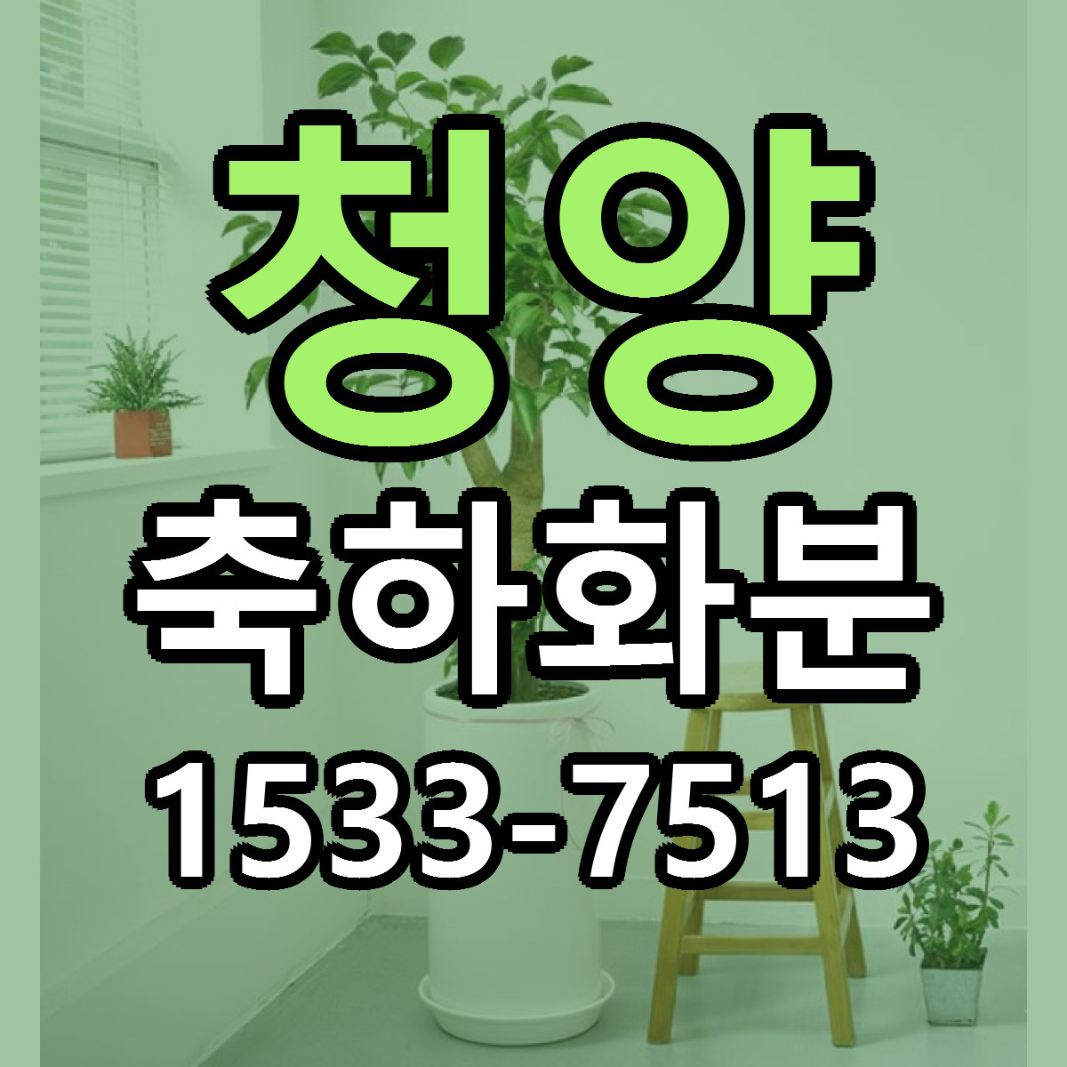 청양 축하화분 근처꽃집 저렴한곳 빠른배송 서비스