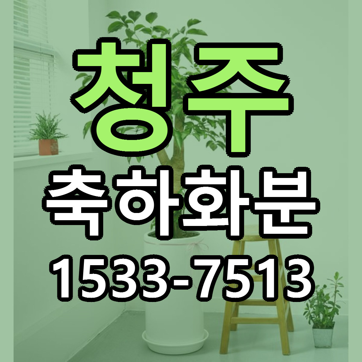청주 축하화분 근처꽃집 당일배송 가격 안내