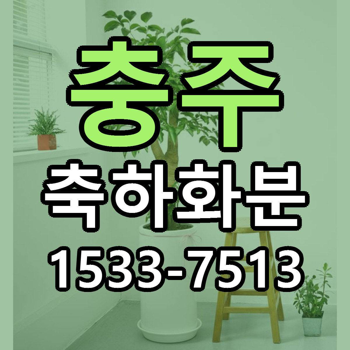 충주 축하화분 근처꽃집 당일배송 싼곳 추천