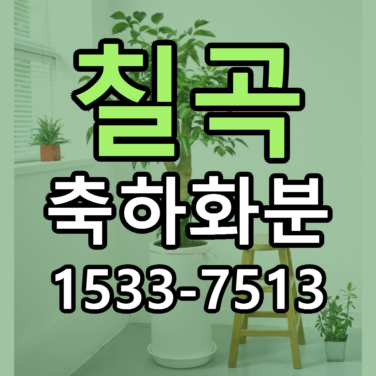 칠곡 축하화분 근처꽃집 당일배송 리본문구 서비스