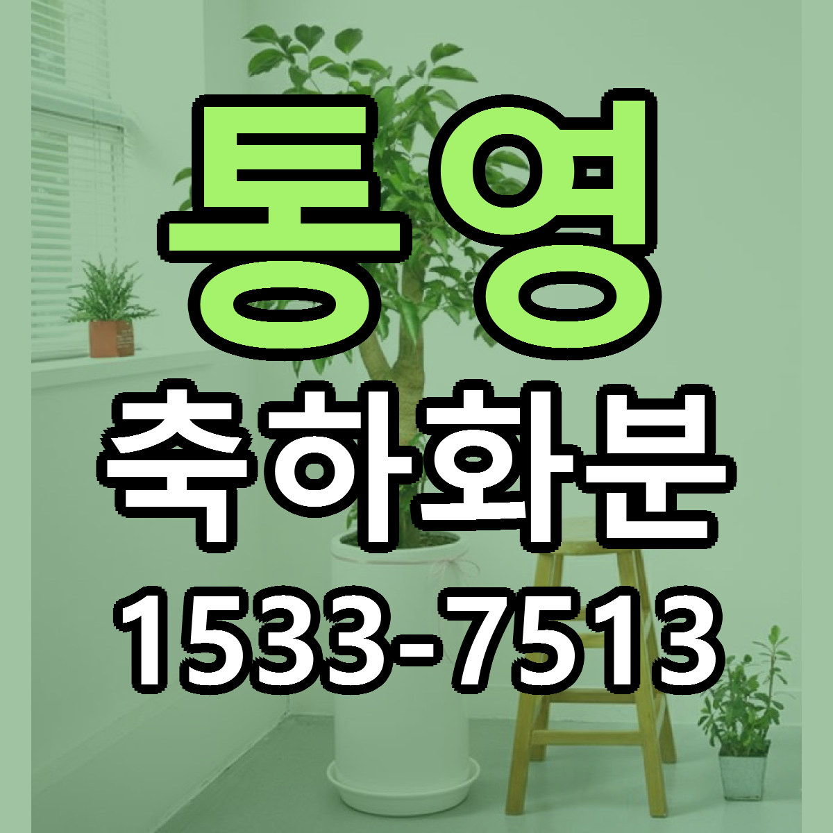 통영 축하화분 근처꽃집 싼곳 빠른배송 안내