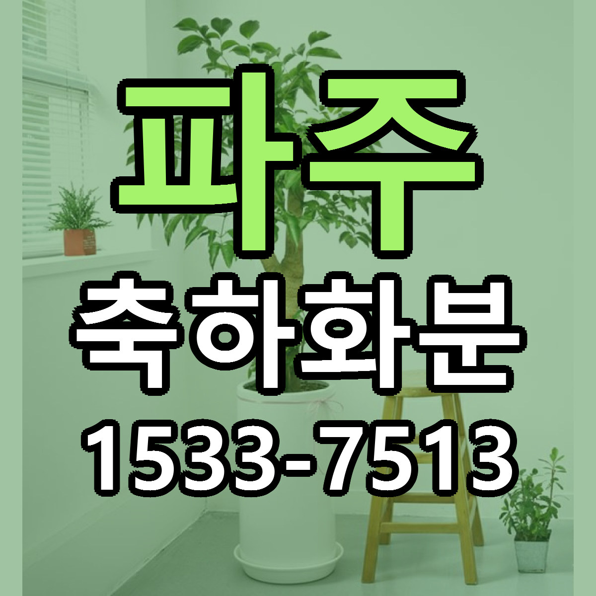 파주 축하화분 근처꽃집 빠른배송 가격 문의