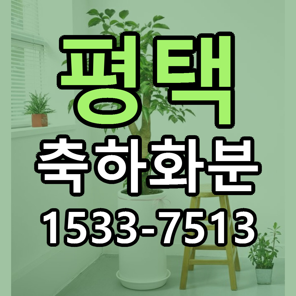 평택 축하화분 빠른배송 가격 저렴한곳 찾기