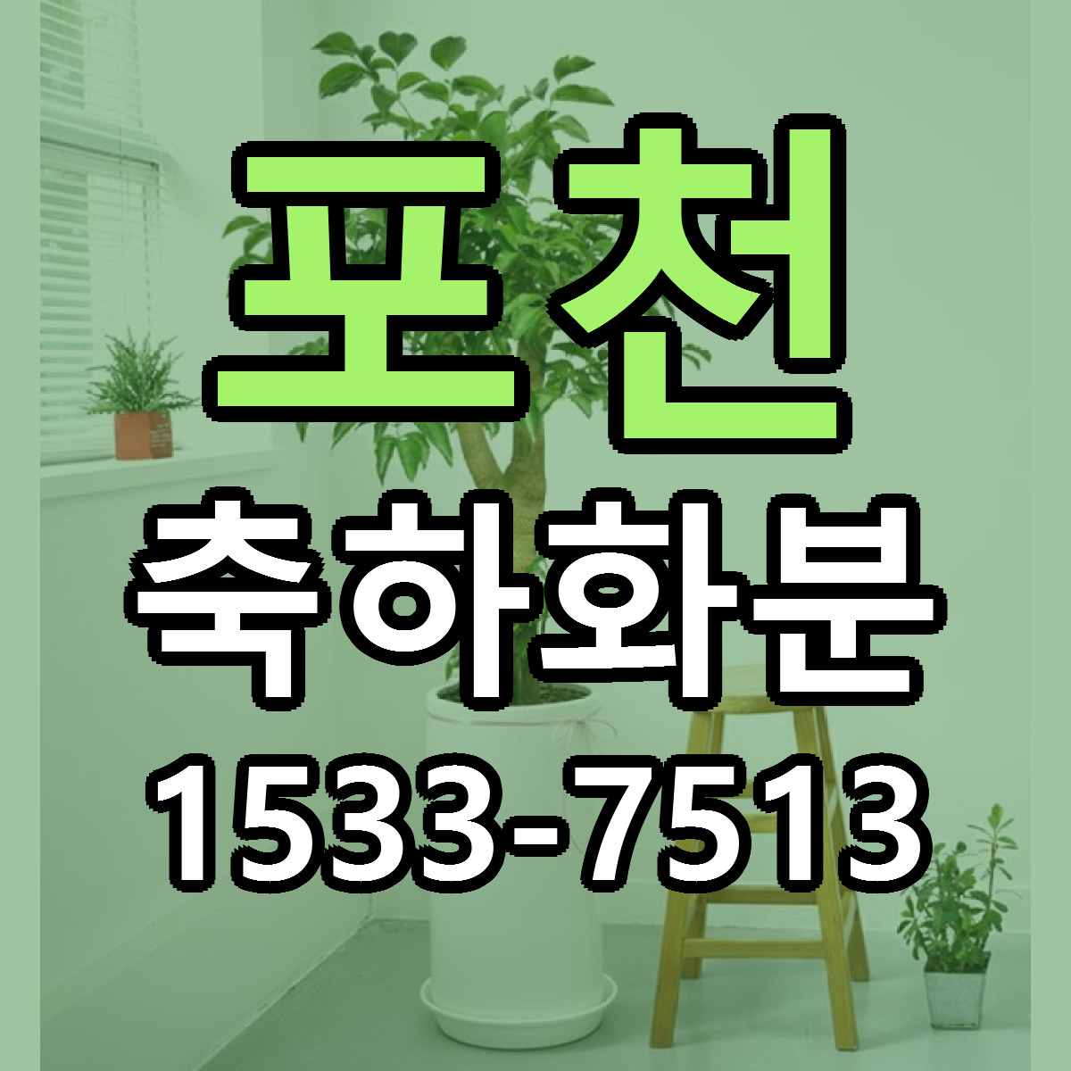 포천 축하화분 근처꽃집 저렴한곳 빠른배송 서비스
