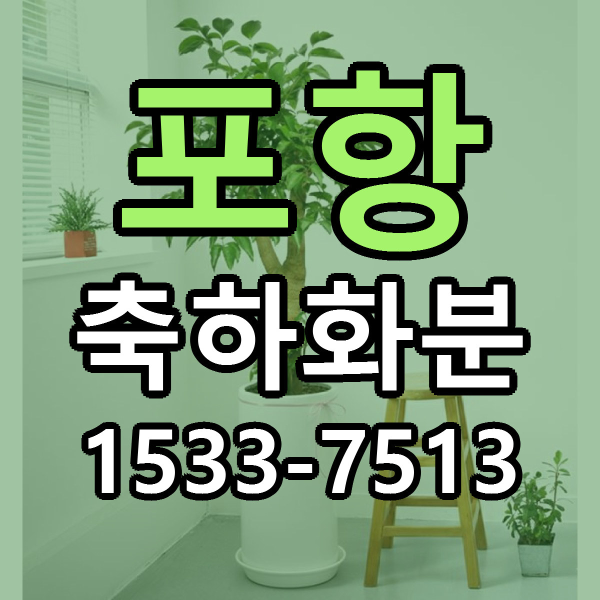 포항 축하화분 저렴한곳 당일배송 근처꽃집 추천