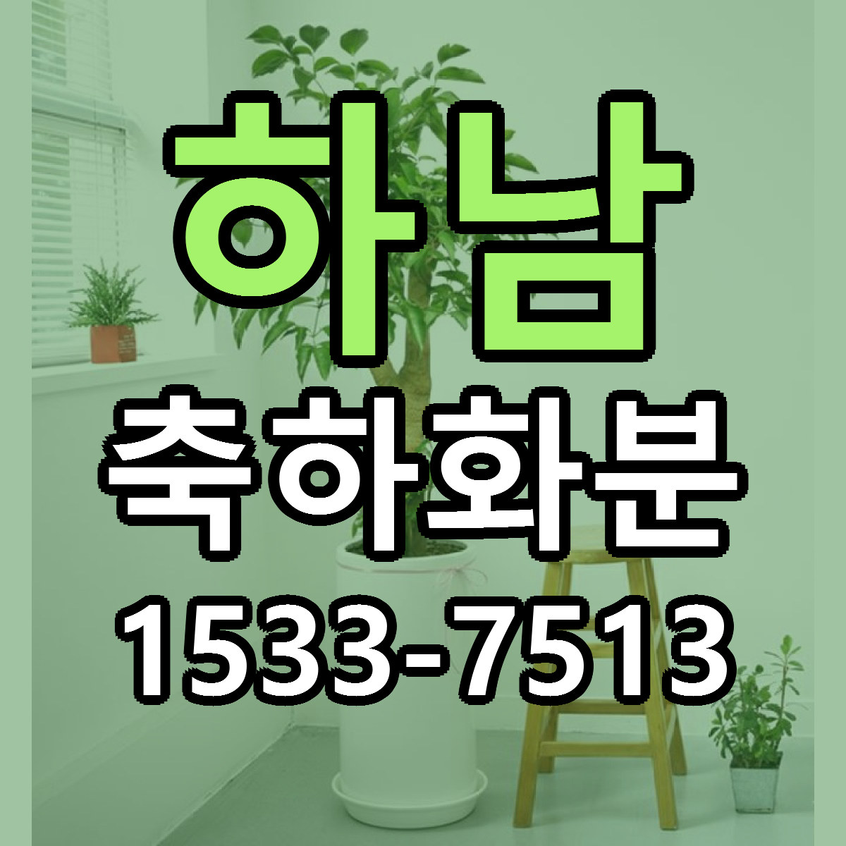하남 축하화분 리본문구 서비스 저렴한곳 빠른배송