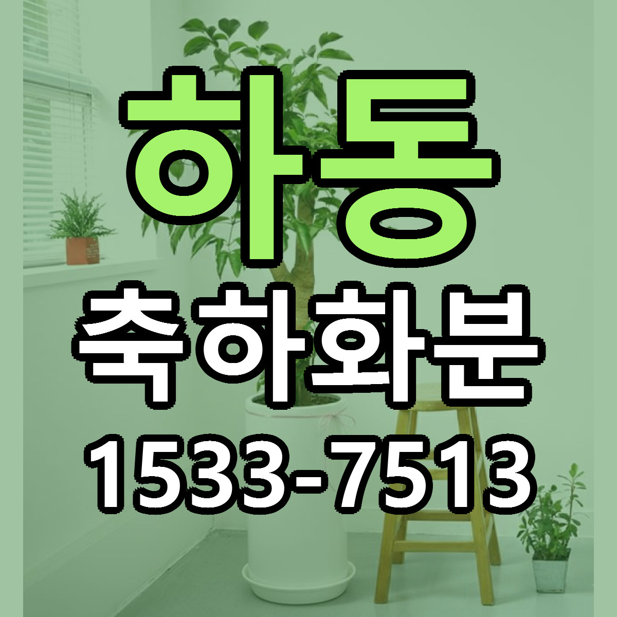 하동 축하화분 당일배송 리본문구 빠른배송 서비스
