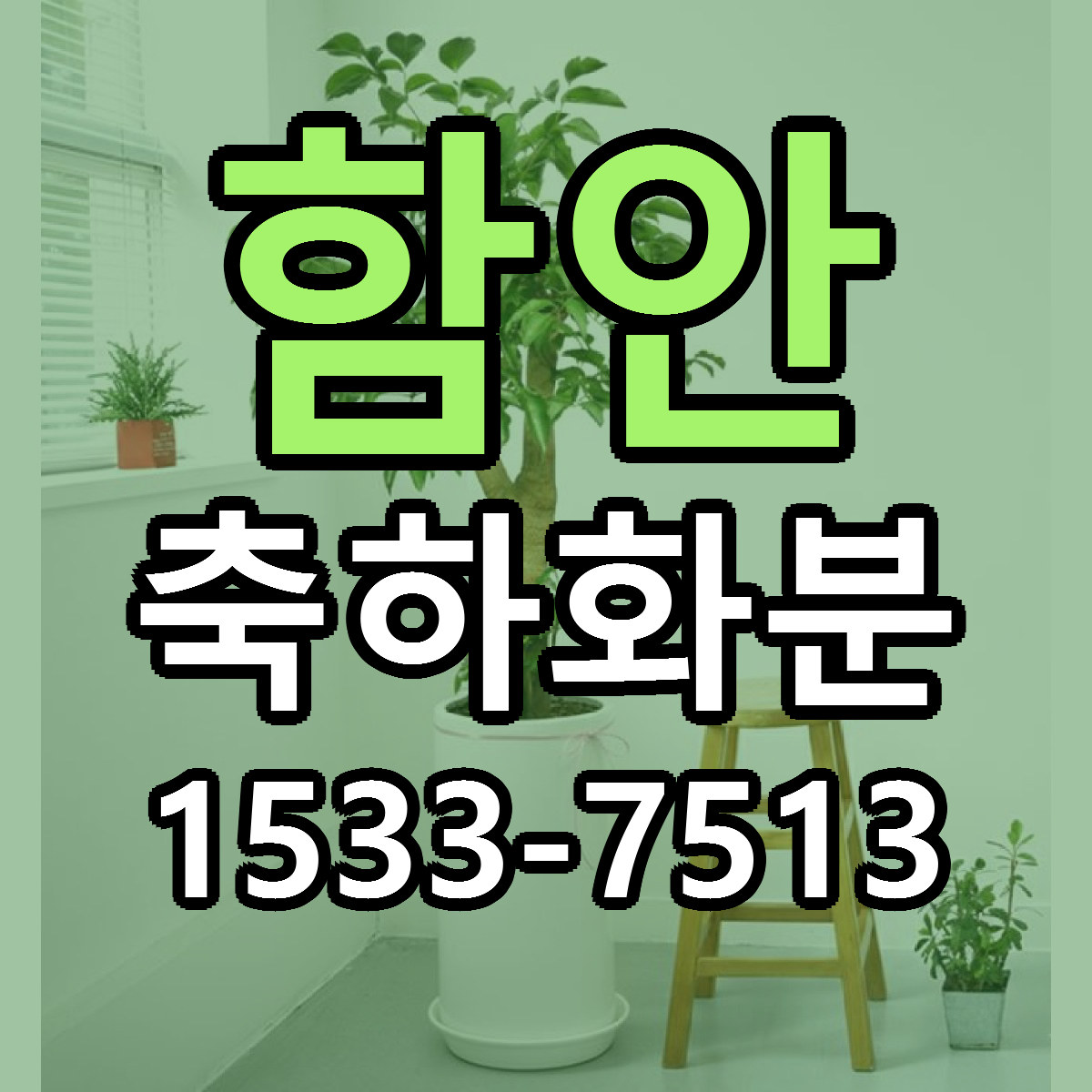 함안 축하화분 리본문구 서비스 저렴한곳 빠른배송