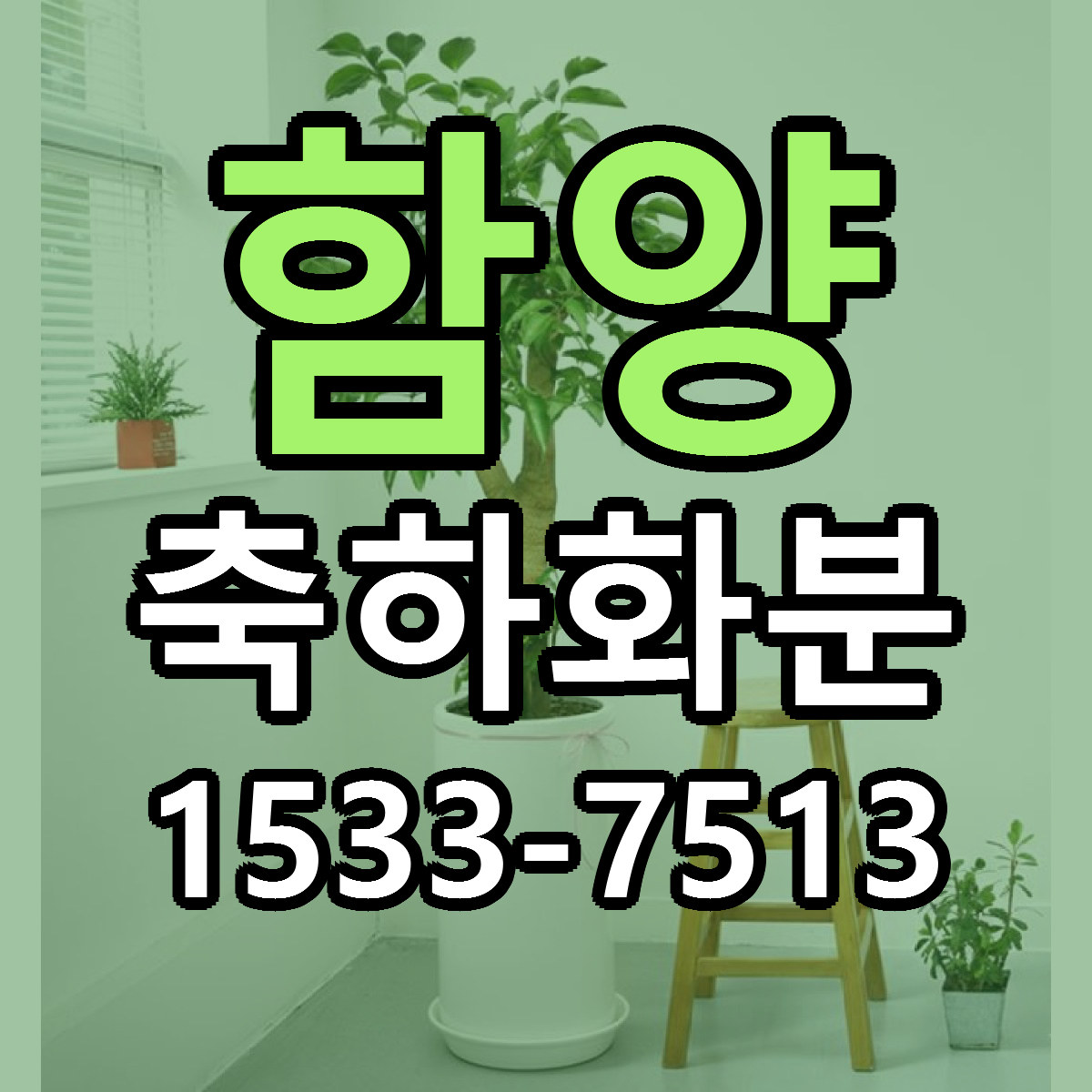 함양 축하화분 근처꽃집 당일배송 싼곳 추천
