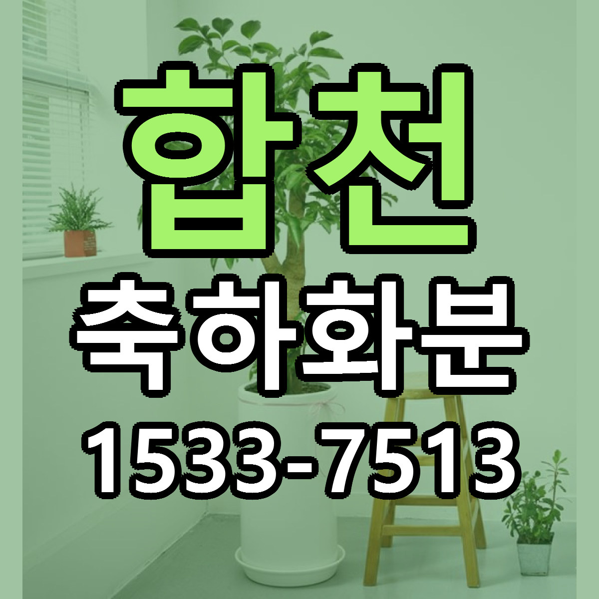 합천 축하화분 당일배송 싼곳 리본문구 안내