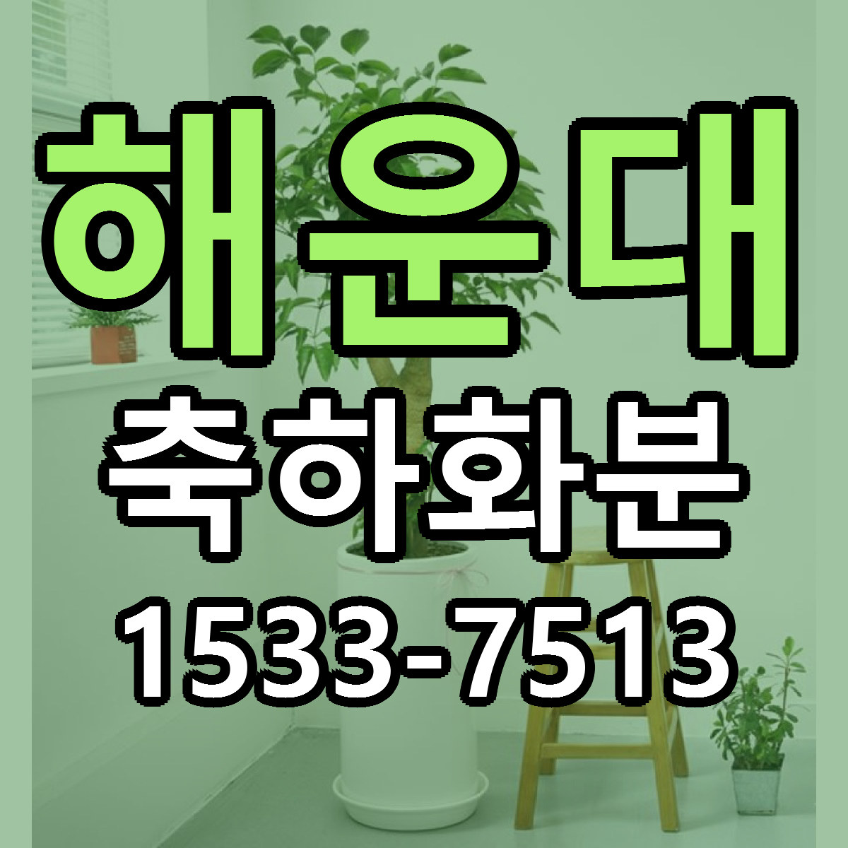해운대 축하화분 리본문구 서비스 저렴한곳 빠른배송