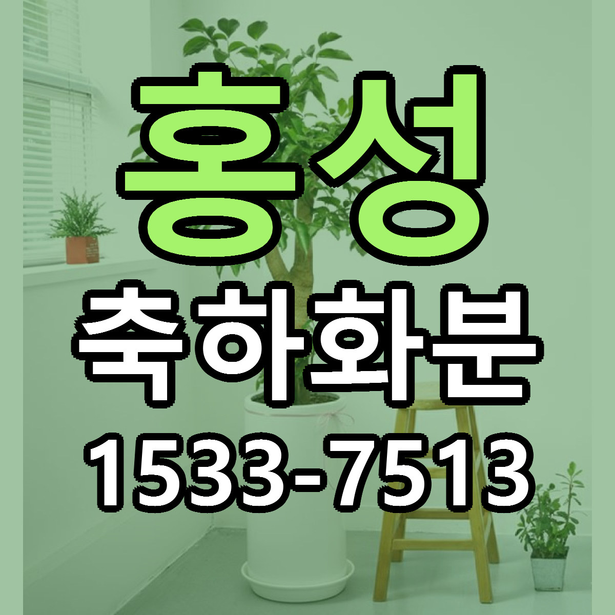홍성 축하화분 빠른배송 싼곳 가격 문의