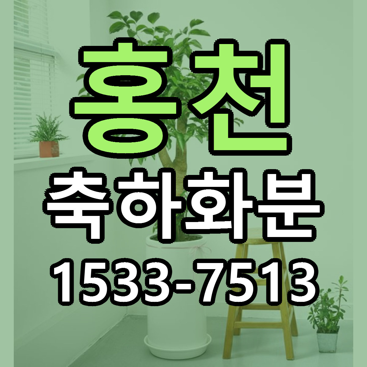 홍천 축하화분 근처꽃집 당일배송 가격 안내
