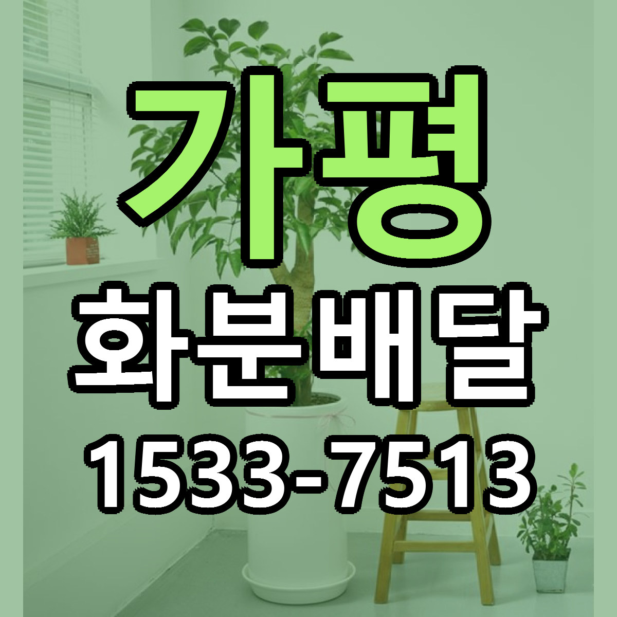 가평 화분배달 근처꽃집 빠른배송 가격 문의