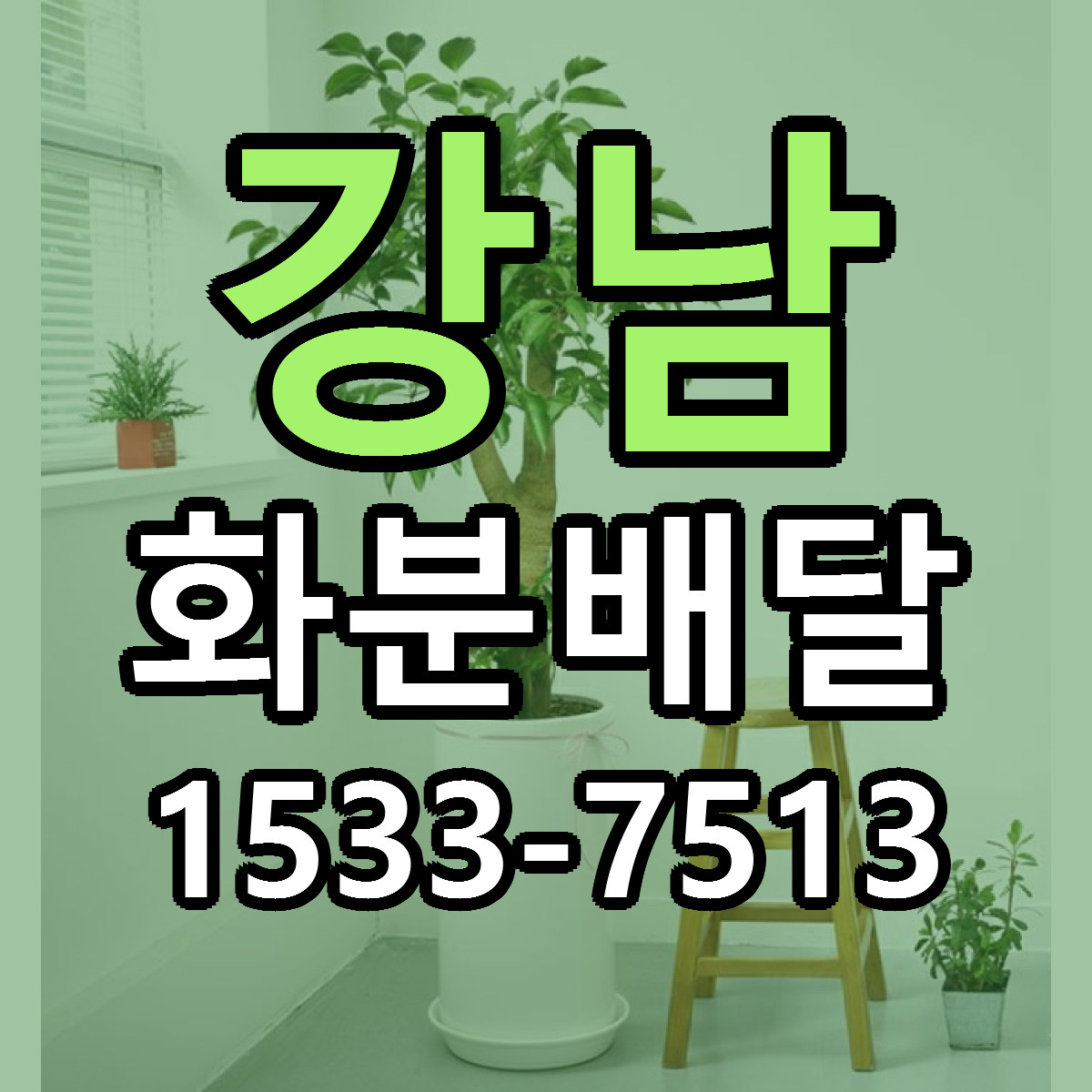 강남 화분배달 근처꽃집 빠른배송 가격 문의