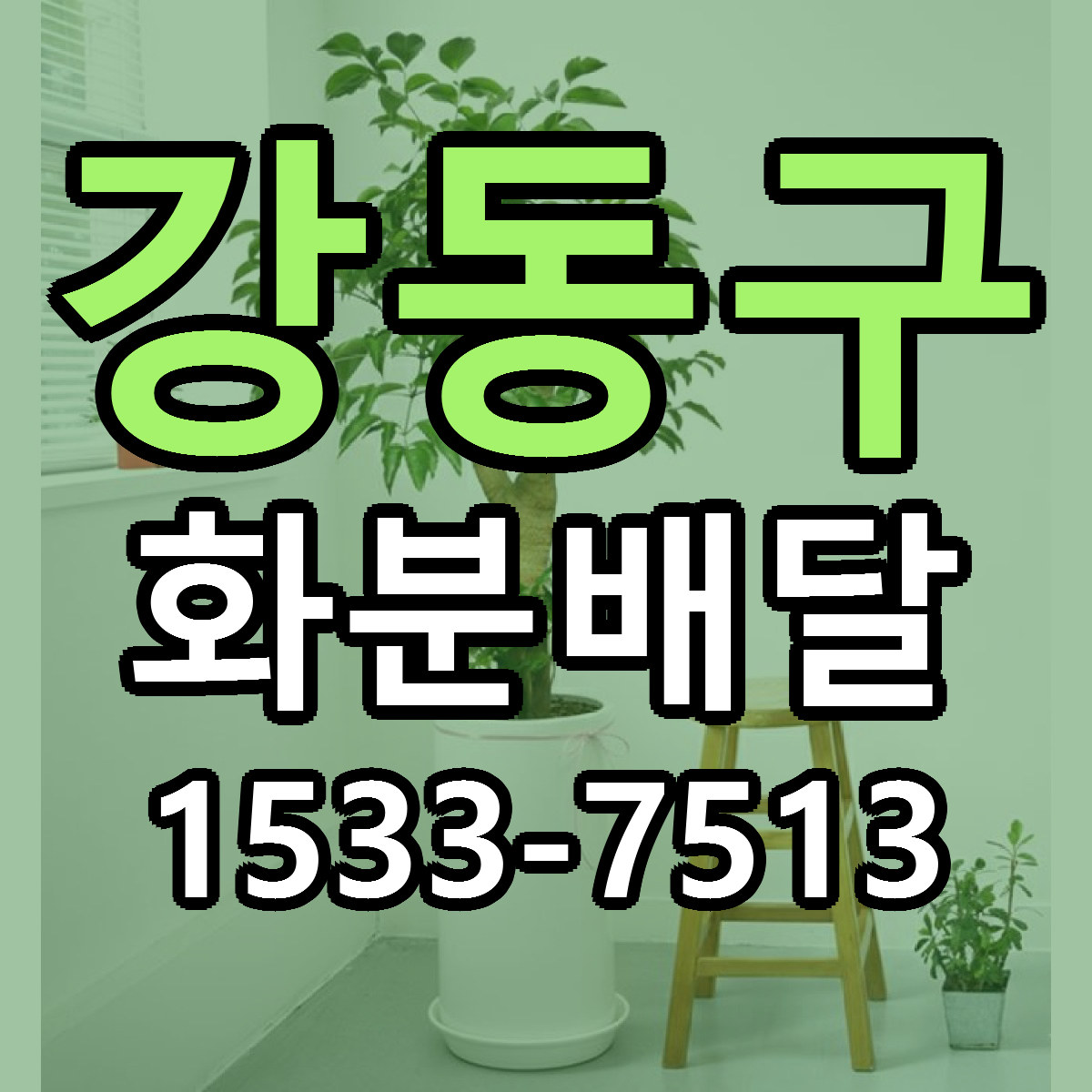 강동구 화분배달 당일배송 가격 저렴한곳 추천
