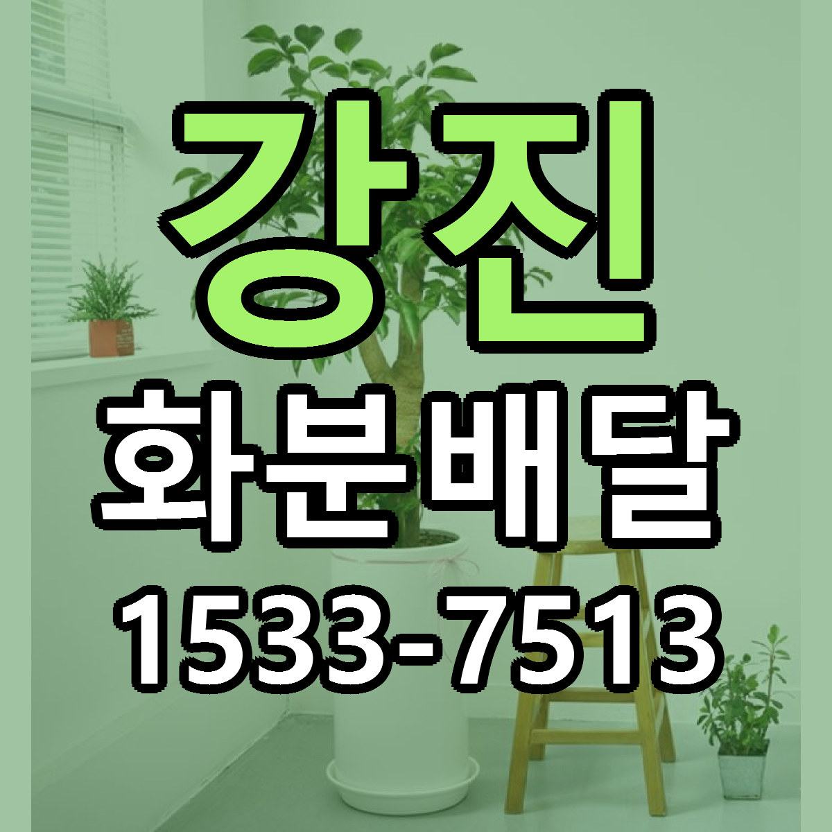 강진 화분배달 근처꽃집 싼곳 빠른배송 안내