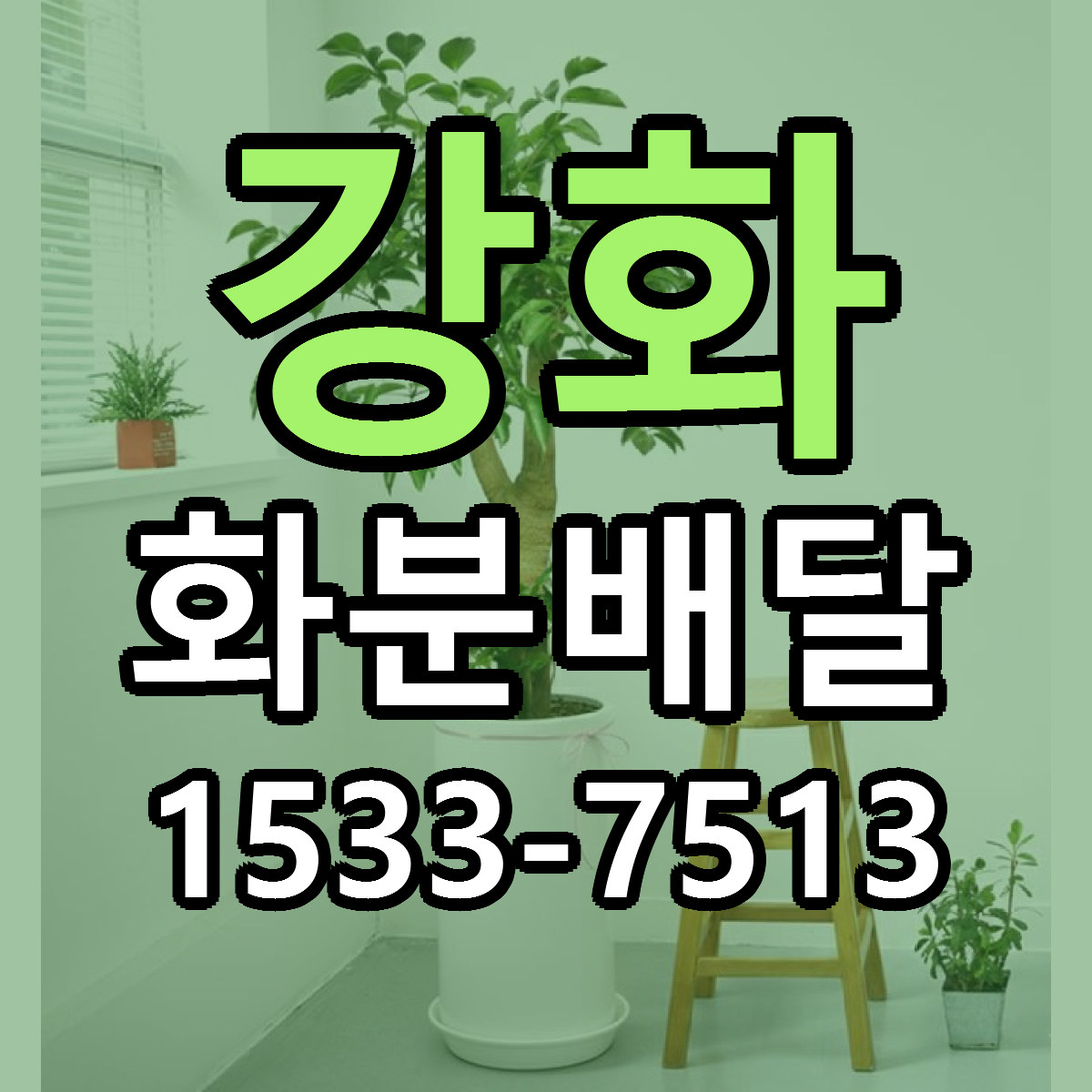 강화 화분배달 리본문구 서비스 저렴한곳 빠른배송