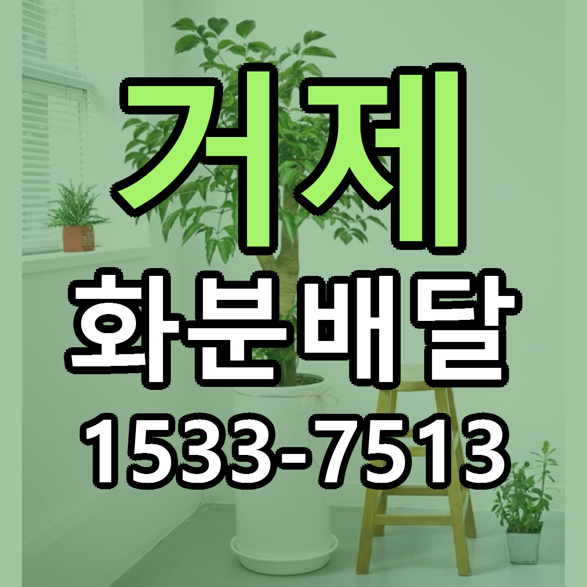 거제 화분배달 근처꽃집 당일배송 리본문구 서비스