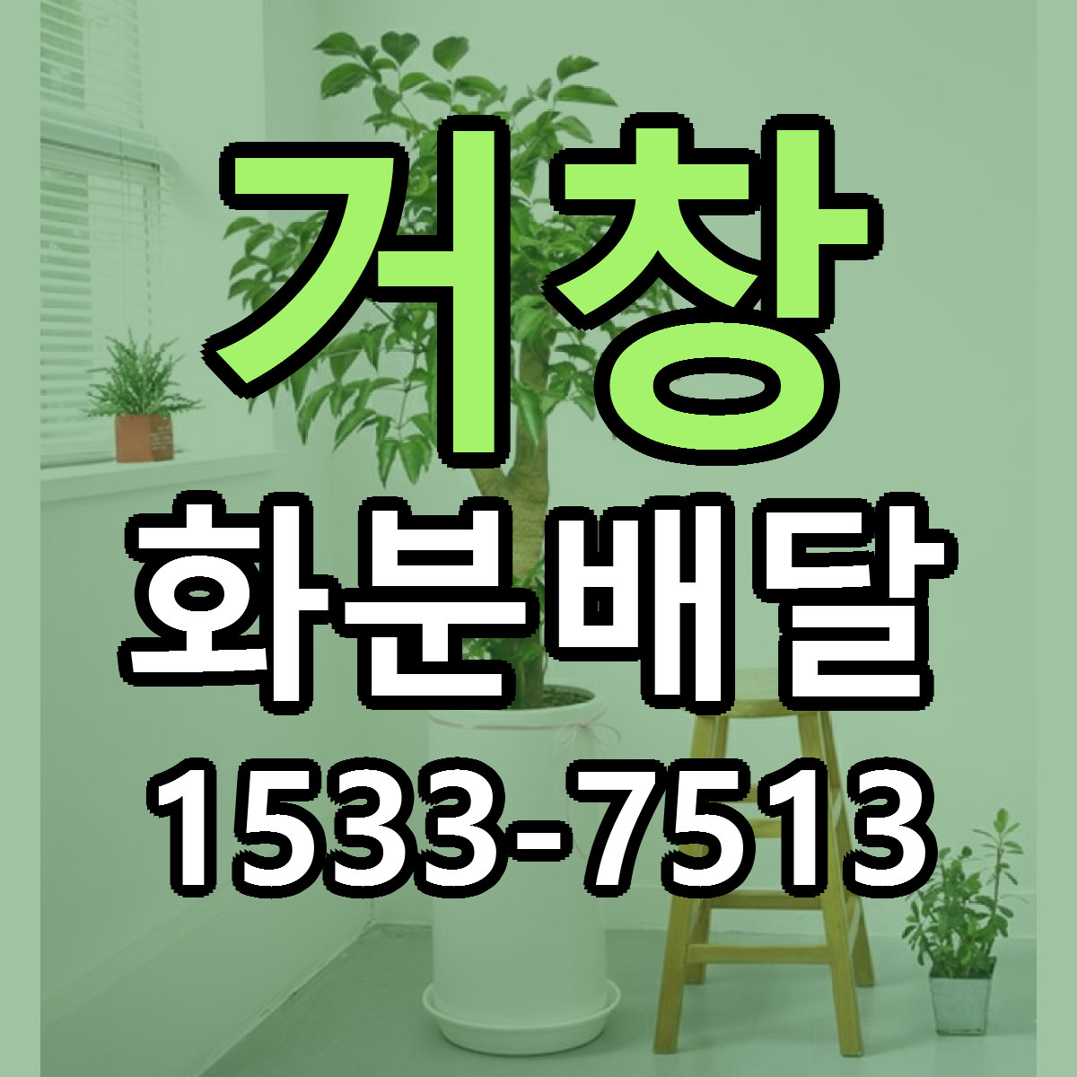거창 화분배달 근처꽃집 저렴한곳 빠른배송 서비스