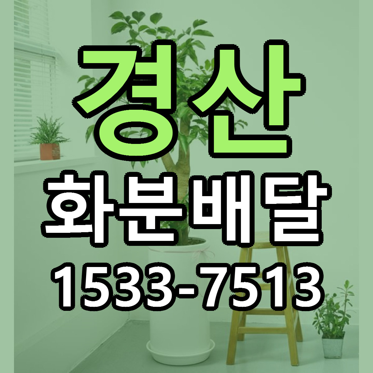 경산 화분배달 근처꽃집 저렴한곳 빠른배송 서비스