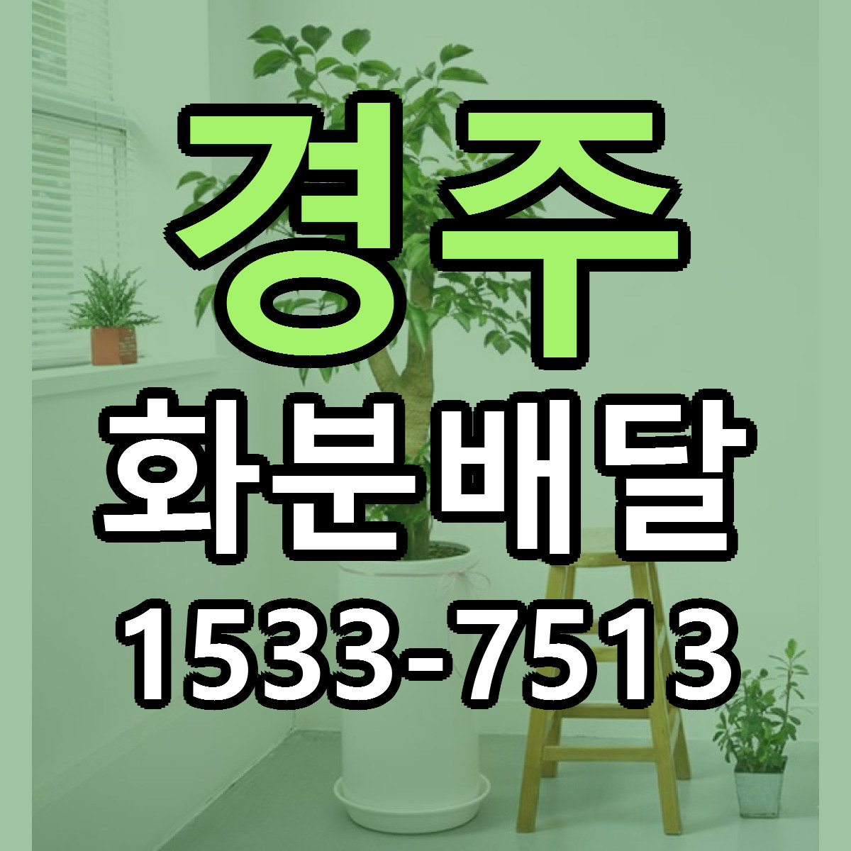 경주 화분배달 빠른배송 싼곳 가격 문의