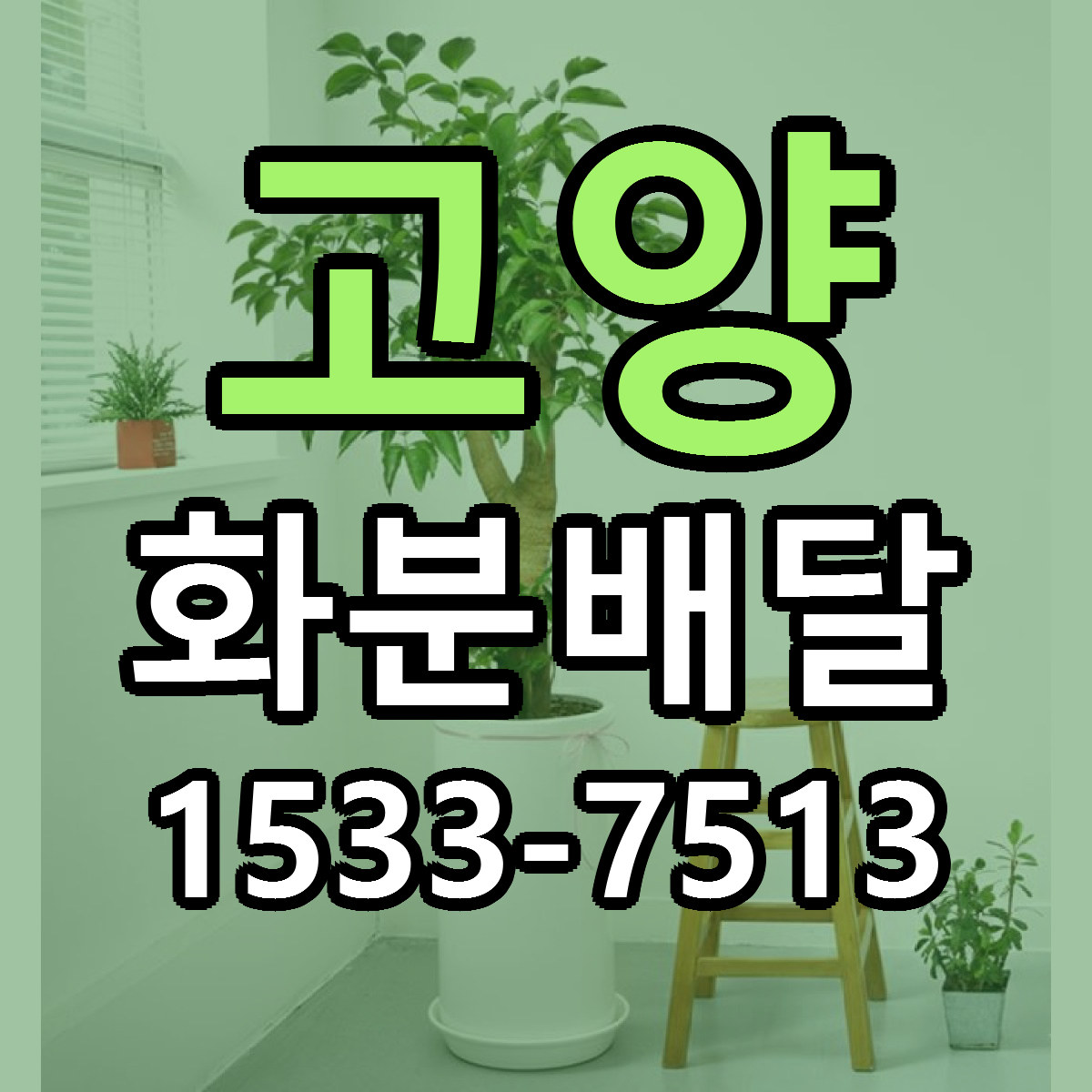고양 화분배달 빠른배송 싼곳 가격 문의
