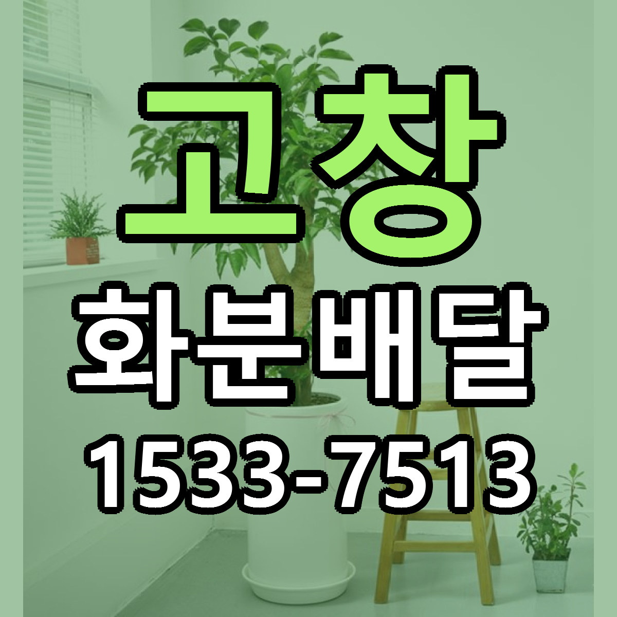 고창 화분배달 리본문구 싼곳 빠른배송 예약